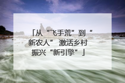 从“飞手荒”到“新农人” 激活乡村振兴“新引擎”