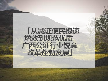 从减证便民提速增效到规范优质 广西公证行业锐意改革蓬勃发展