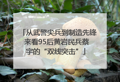 从武警尖兵到制造先锋 来看95后黄岩民兵蔡宇的“双线突击”