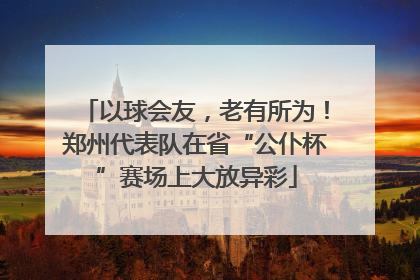 以球会友，老有所为！郑州代表队在省“公仆杯”赛场上大放异彩