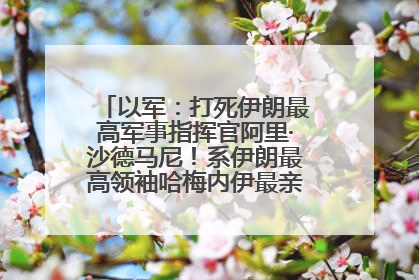 以军：打死伊朗最高军事指挥官阿里·沙德马尼！系伊朗最高领袖哈梅内伊最亲密的人之一