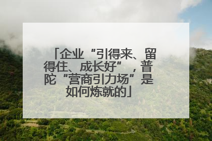 企业“引得来、留得住、成长好”，普陀“营商引力场”是如何炼就的