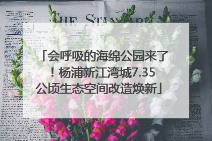 会呼吸的海绵公园来了！杨浦新江湾城7.35公顷生态空间改造焕新