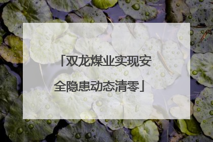 双龙煤业实现安全隐患动态清零