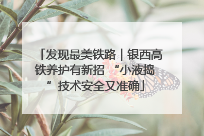 发现最美铁路｜银西高铁养护有新招 “小液捣”技术安全又准确
