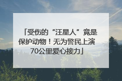 受伤的“汪星人”竟是保护动物！无为警民上演70公里爱心接力
