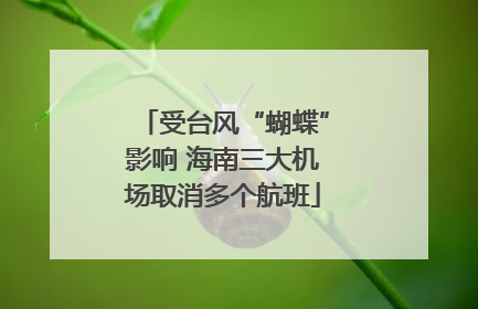 受台风“蝴蝶”影响 海南三大机场取消多个航班