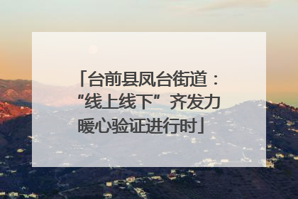 台前县凤台街道：“线上线下”齐发力 暖心验证进行时
