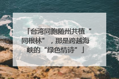 台湾同胞随州共植“同根林”，那是跨越海峡的“绿色情诗”