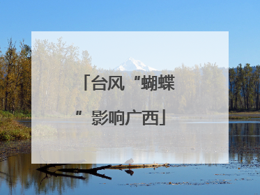 台风“蝴蝶”影响广西