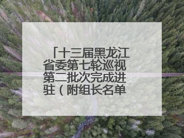 十三届黑龙江省委第七轮巡视第二批次完成进驻（附组长名单、联系方式）
