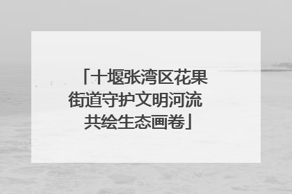 十堰张湾区花果街道守护文明河流 共绘生态画卷