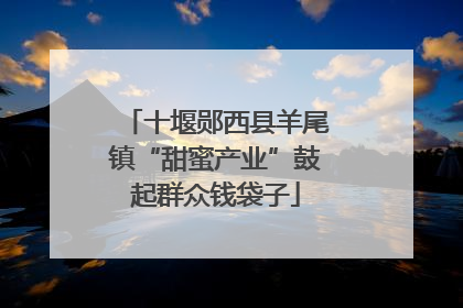 十堰郧西县羊尾镇“甜蜜产业”鼓起群众钱袋子