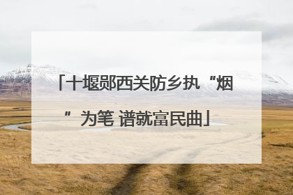 十堰郧西关防乡执“烟”为笔 谱就富民曲