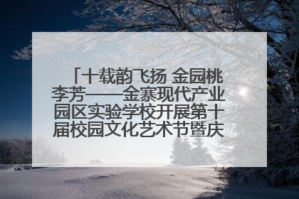 十载韵飞扬 金园桃李芳——金寨现代产业园区实验学校开展第十届校园文化艺术节暨庆“六一”系列活动