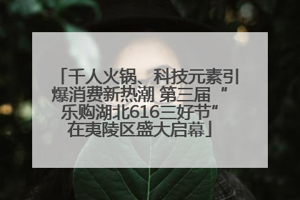 千人火锅、科技元素引爆消费新热潮 第三届“乐购湖北616三好节”在夷陵区盛大启幕