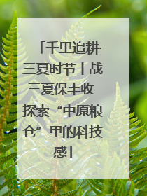 千里追耕·三夏时节丨战三夏保丰收 探索“中原粮仓”里的科技感
