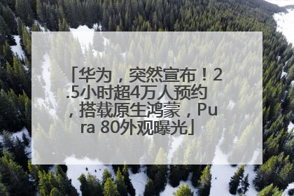 华为，突然宣布！2.5小时超4万人预约，搭载原生鸿蒙，Pura 80外观曝光