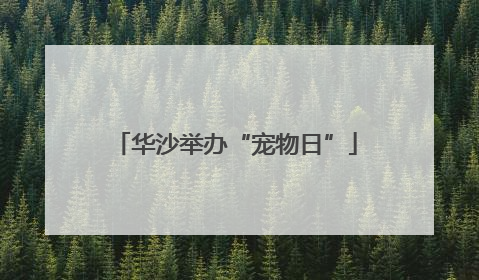 华沙举办“宠物日”