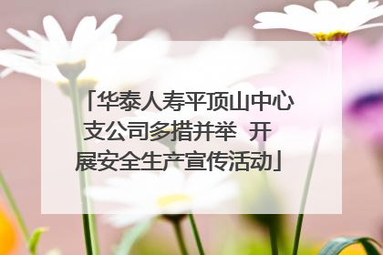 华泰人寿平顶山中心支公司多措并举  开展安全生产宣传活动