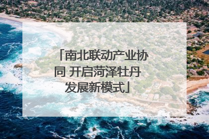 南北联动产业协同 开启菏泽牡丹发展新模式