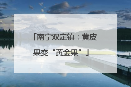 南宁双定镇：黄皮果变“黄金果”