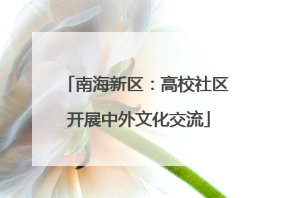 南海新区：高校社区开展中外文化交流