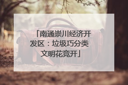 南通崇川经济开发区：垃圾巧分类 文明花竞开