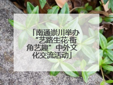 南通崇川举办“艺路生花·街角艺趣”中外文化交流活动