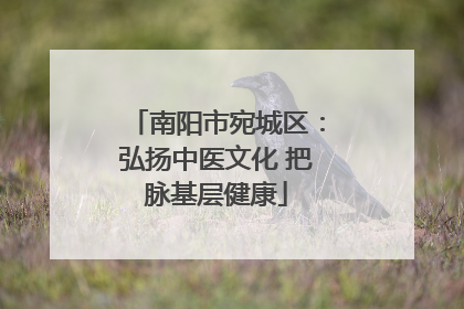 南阳市宛城区：弘扬中医文化 把脉基层健康