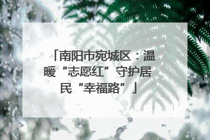 南阳市宛城区：温暖“志愿红”守护居民“幸福路”