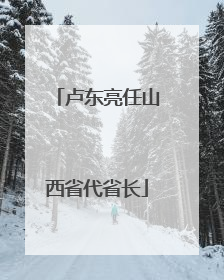 卢东亮任山西省代省长