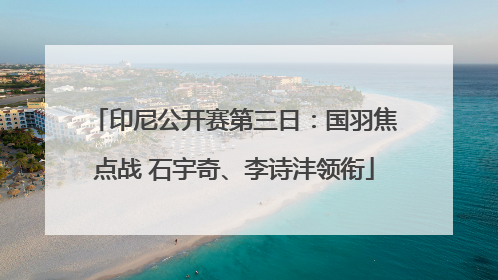 印尼公开赛第三日：国羽焦点战 石宇奇、李诗沣领衔