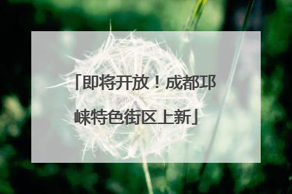 即将开放！成都邛崃特色街区上新