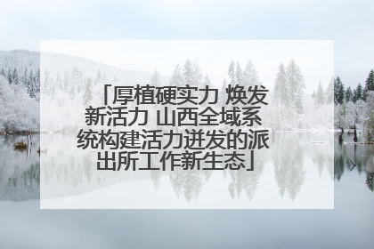厚植硬实力 焕发新活力 山西全域系统构建活力迸发的派出所工作新生态