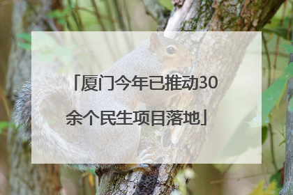 厦门今年已推动30余个民生项目落地