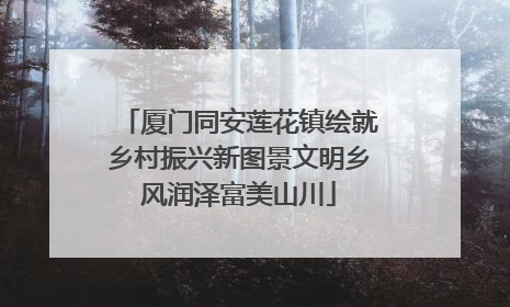 厦门同安莲花镇绘就乡村振兴新图景文明乡风润泽富美山川