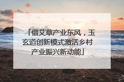 借艾草产业东风，玉玄道创新模式激活乡村产业振兴新动能