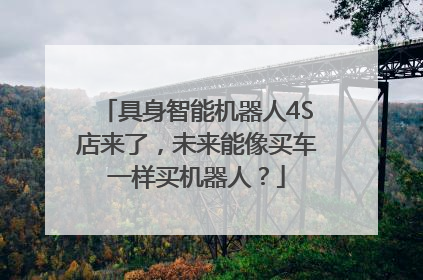 具身智能机器人4S店来了，未来能像买车一样买机器人？