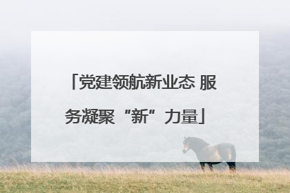 党建领航新业态 服务凝聚“新”力量