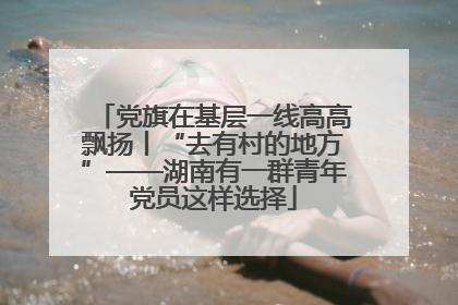 党旗在基层一线高高飘扬丨“去有村的地方”——湖南有一群青年党员这样选择