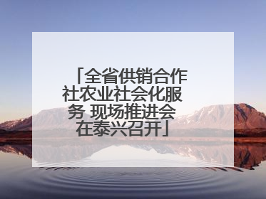 全省供销合作社农业社会化服务 现场推进会在泰兴召开