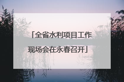 全省水利项目工作现场会在永春召开