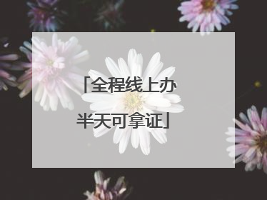 全程线上办 半天可拿证
