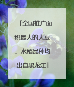 全国推广面积最大的大豆、水稻品种均出自黑龙江