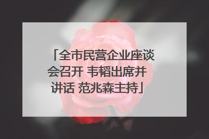 全市民营企业座谈会召开 韦韬出席并讲话 范兆森主持