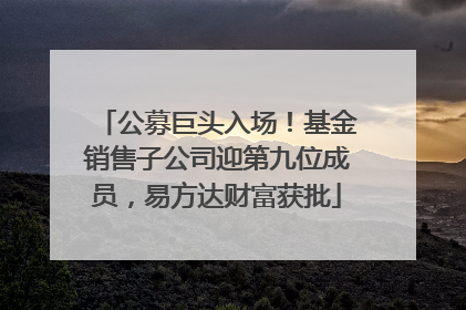 公募巨头入场！基金销售子公司迎第九位成员，易方达财富获批