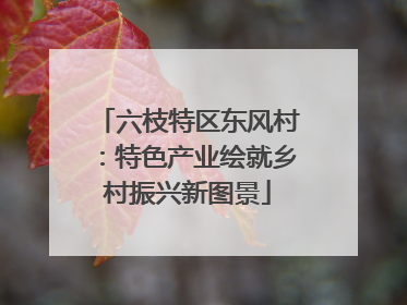 六枝特区东风村：特色产业绘就乡村振兴新图景