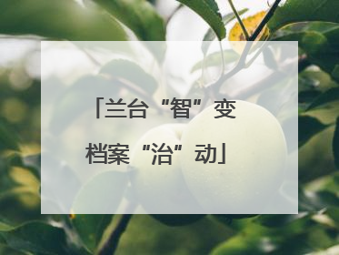 兰台“智”变 档案“治”动