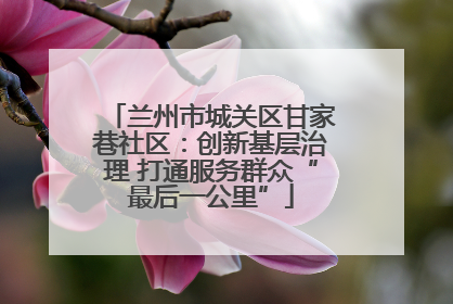 兰州市城关区甘家巷社区：创新基层治理 打通服务群众“最后一公里”